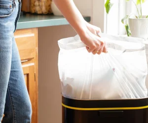 Kitchn-2021-Baking-Soda-Trash-Can-1